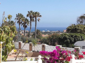 Villa Musica, Fustes